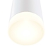 Настенный светильник Maytoni Dafne C027WL-L10W