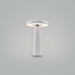 Настольная аккумуляторная лампа Freya LED Mushroom FR6109TL-L4W