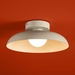 Потолочный светильник Freya Modern Movement FR5602CL-L10W