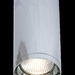 Потолочный светильник Maytoni Alfa C010CL-01CH