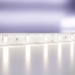Светодиодная лента Standard Maytoni Led Strip 10106