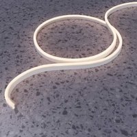 Гибкий неон Maytoni Led Strip 201229