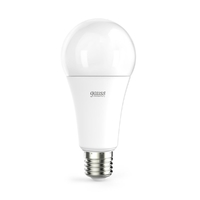 Лампа светодиодная Gauss E27 25W 4100K матовая 73225