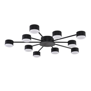 Люстра Lumion COMFI 8344/10C