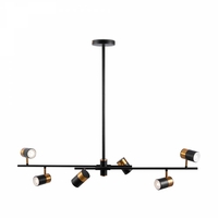 Подвесная люстра Freya Enzo FR5201PL-06B