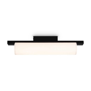 Потолочный светильник Freya Modern Even FR5625CL-L20B