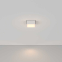 Потолочный светильник Maytoni Technical C067CL-L12W3K