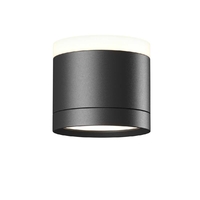 Потолочный светильник Maytoni Technical C120CL-GX53-B